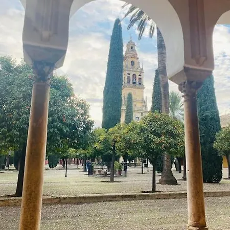 Espiral Abades * Córdoba